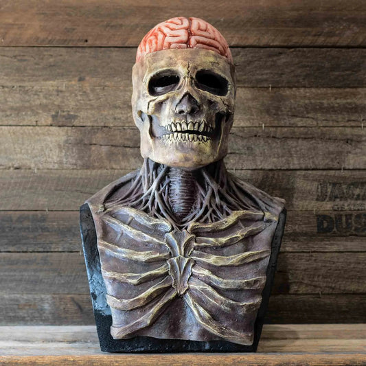 Full Head Skull Skeleton Mask