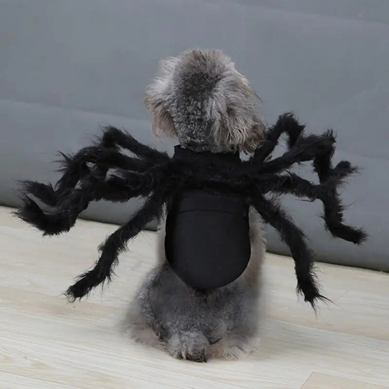 Disfraz de araña para Halloween para mascotas