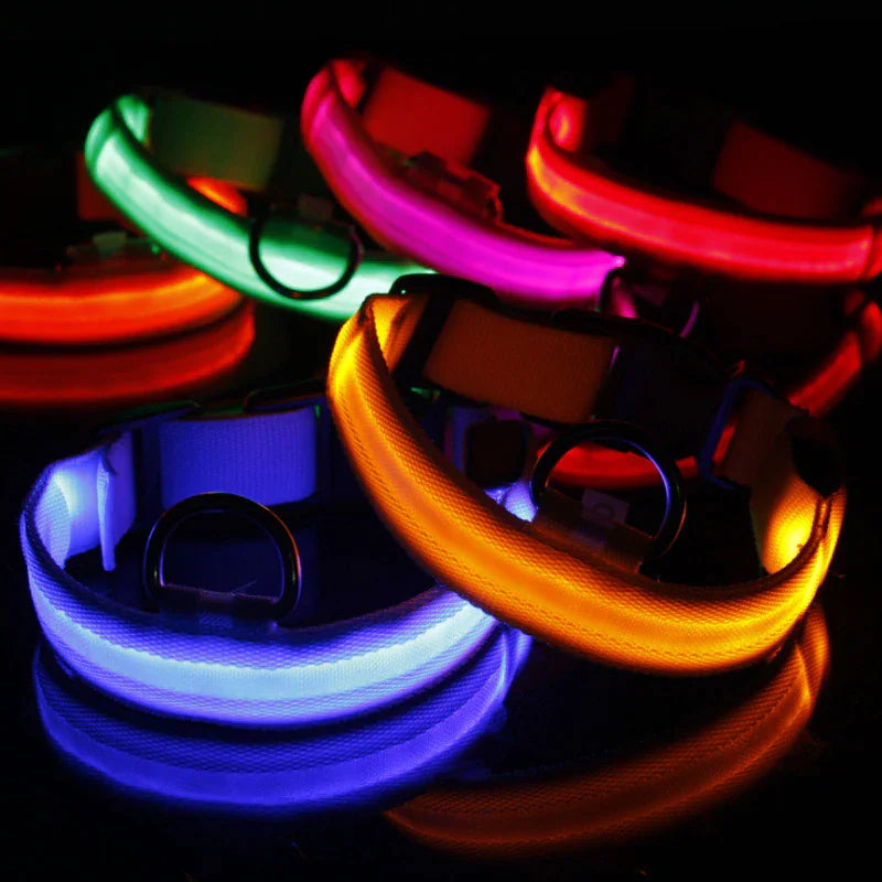 Collar LED ajustable para perros con luz intermitente que brilla intensamente, seguridad para mascotas, resistente al agua