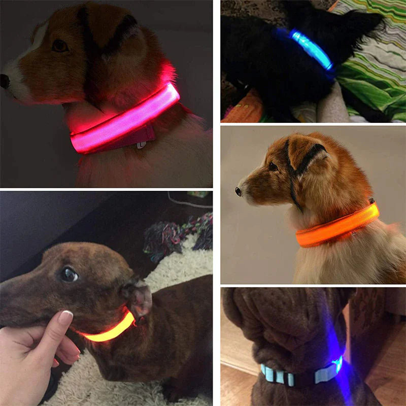 Collar LED ajustable para perros con luz intermitente que brilla intensamente, seguridad para mascotas, resistente al agua