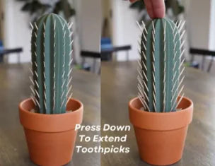 Cactus Potted Toothpick Box