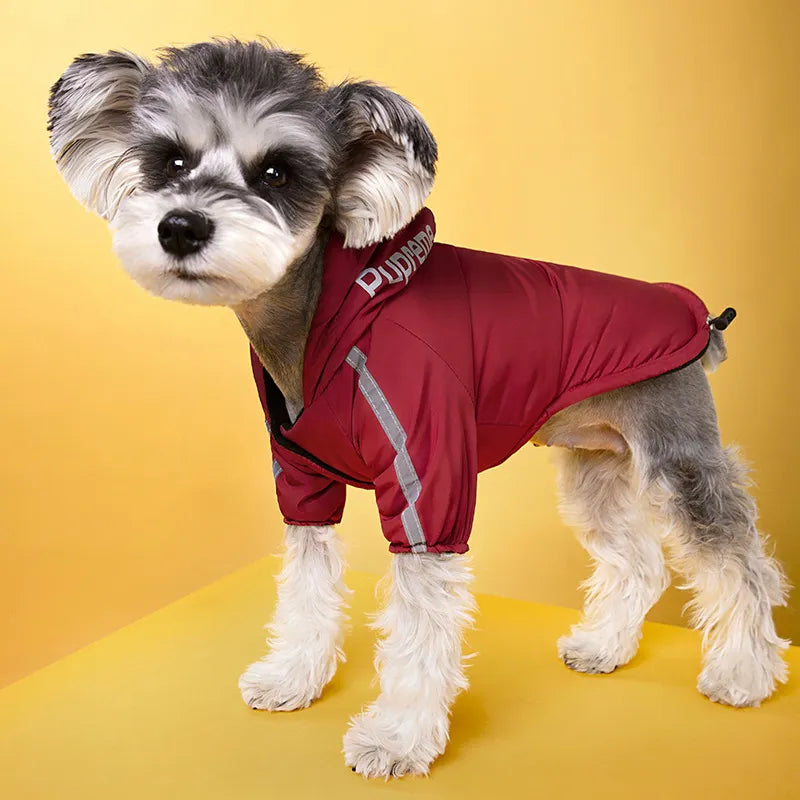 Ropa impermeable para perros