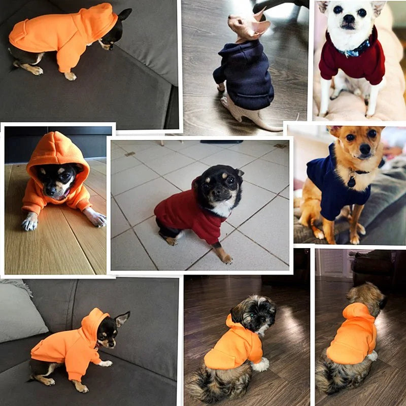 Ropa para mascotas para perros pequeños