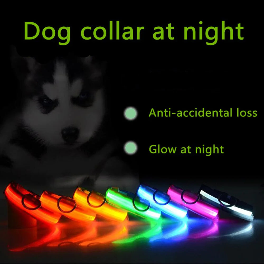 Collar LED ajustable para perros con luz intermitente que brilla intensamente, seguridad para mascotas, resistente al agua