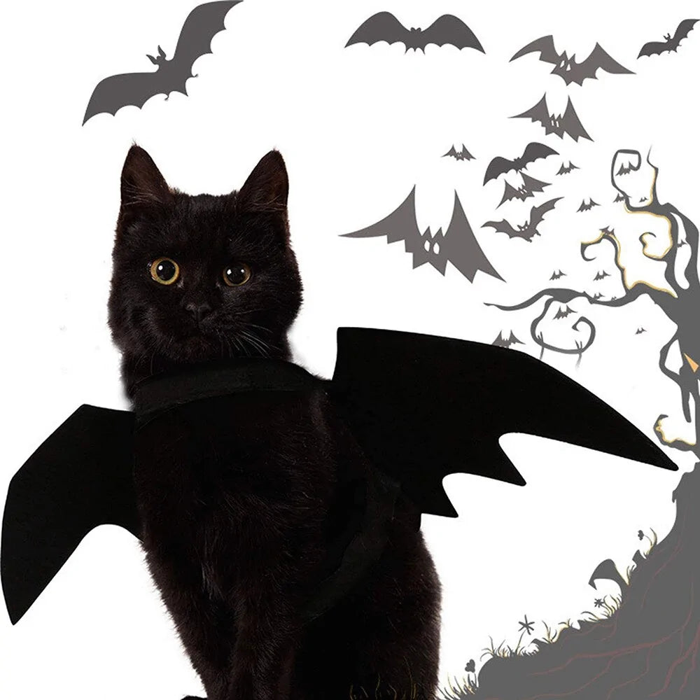 Ropa linda para mascotas de Halloween con murciélago negro