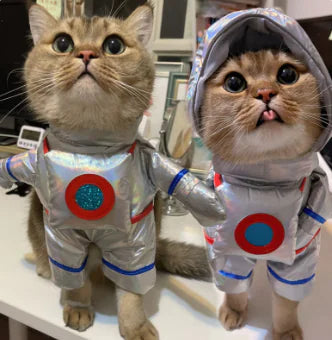 Traje espacial para perros y gatos