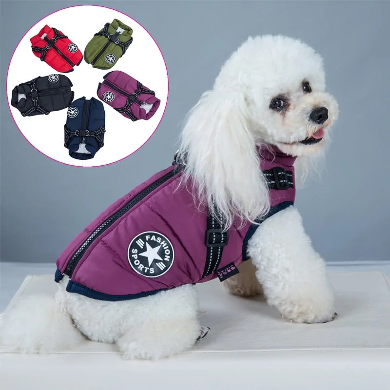 Ropa tipo chaleco con arnés para mascotas