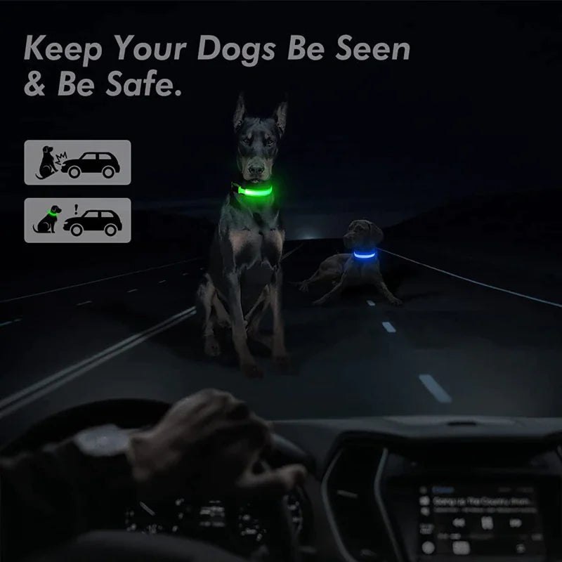 Collar LED ajustable para perros con luz intermitente que brilla intensamente, seguridad para mascotas, resistente al agua