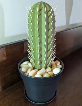 Cactus Potted Toothpick Box