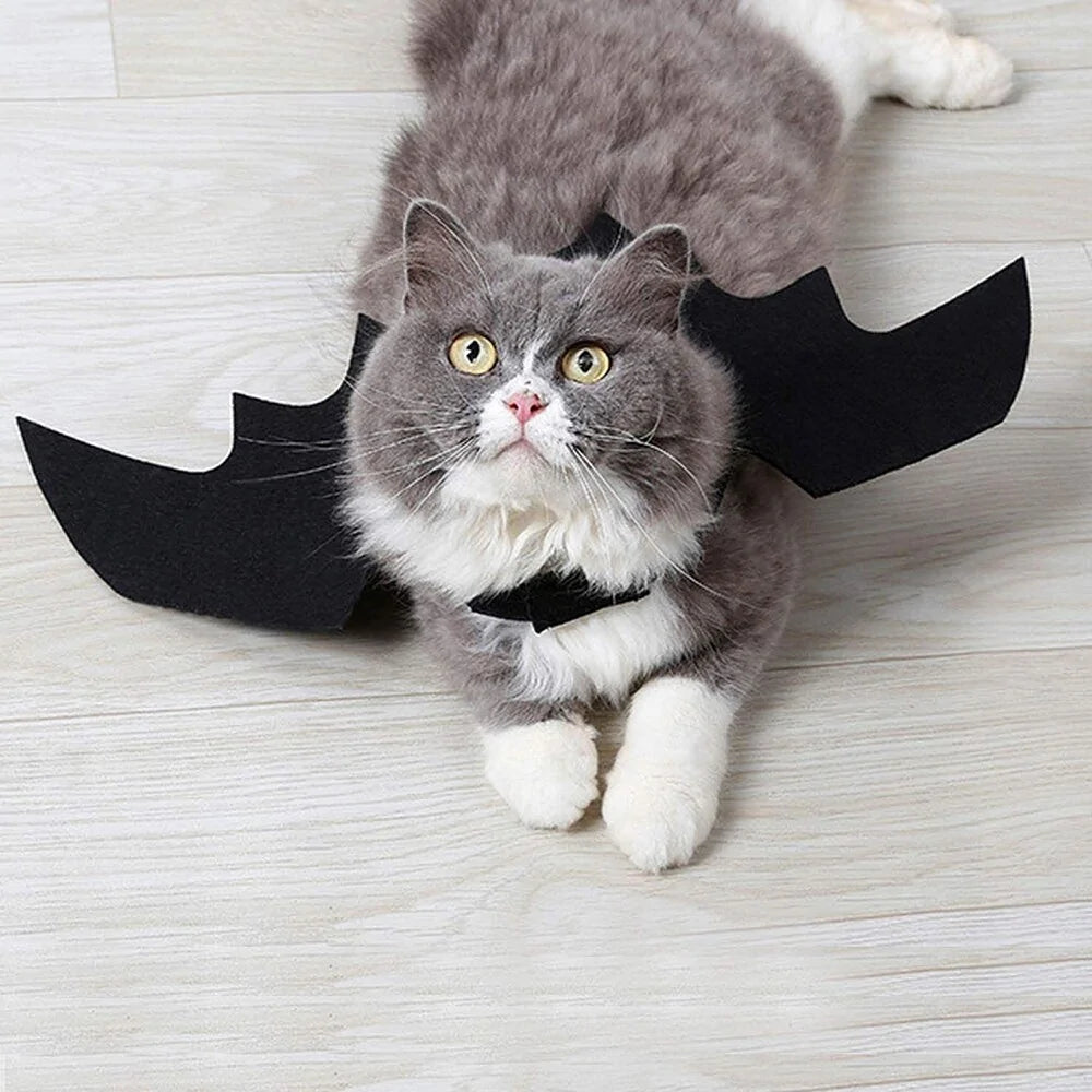 Ropa linda para mascotas de Halloween con murciélago negro