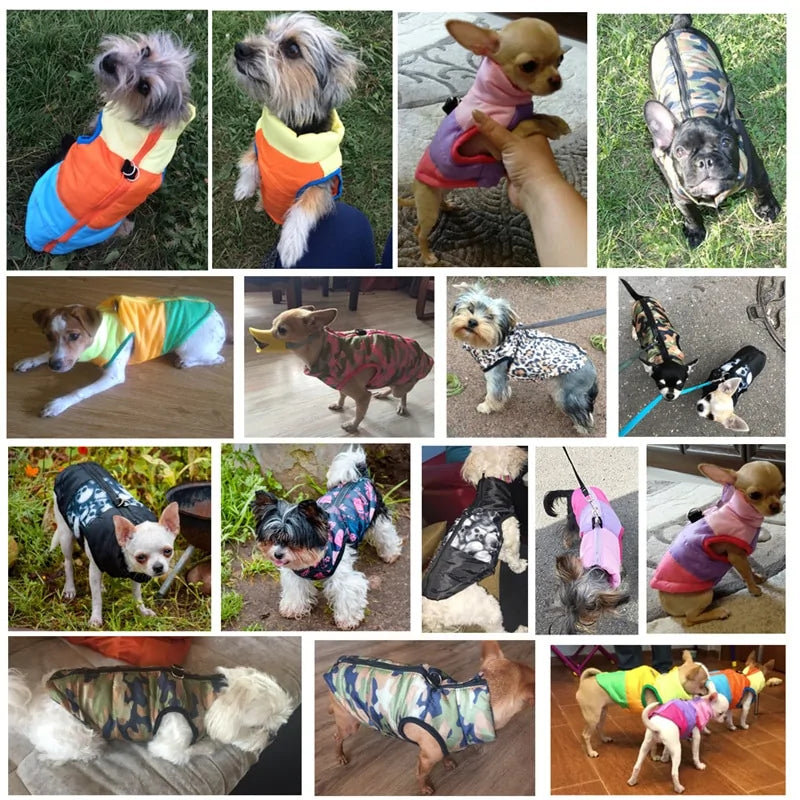 Ropa cálida para perros para otoño/invierno