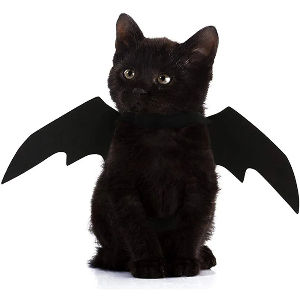 Ropa linda para mascotas de Halloween con murciélago negro