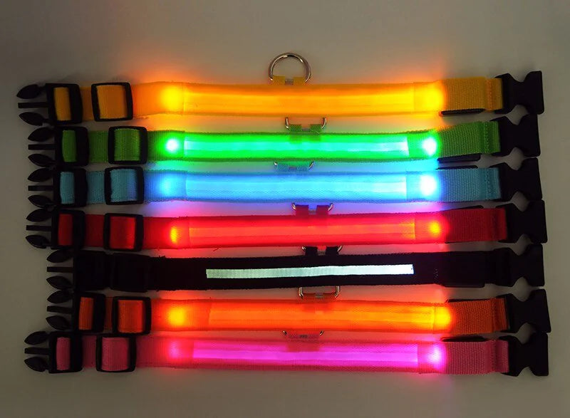 Collar LED ajustable para perros con luz intermitente que brilla intensamente, seguridad para mascotas, resistente al agua