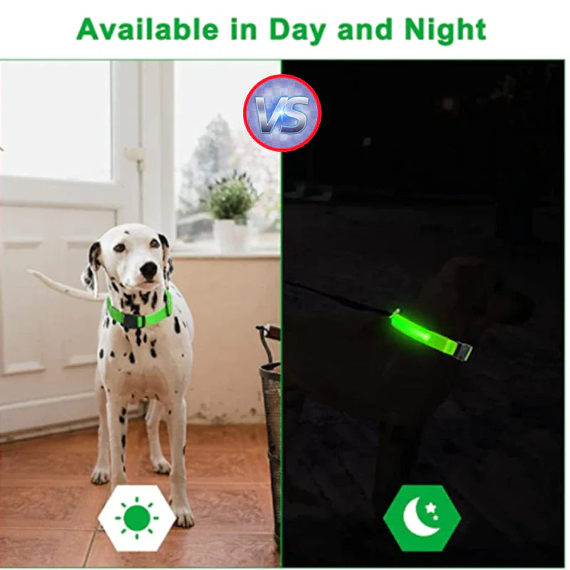 Collar LED ajustable para perros con luz intermitente que brilla intensamente, seguridad para mascotas, resistente al agua