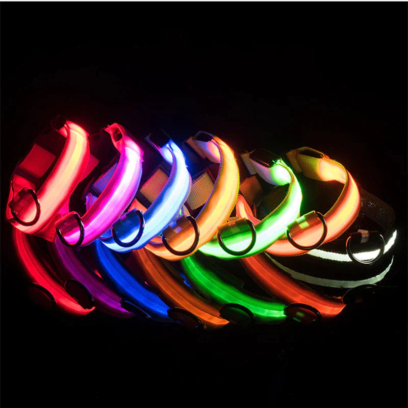 Collar LED ajustable para perros con luz intermitente que brilla intensamente, seguridad para mascotas, resistente al agua