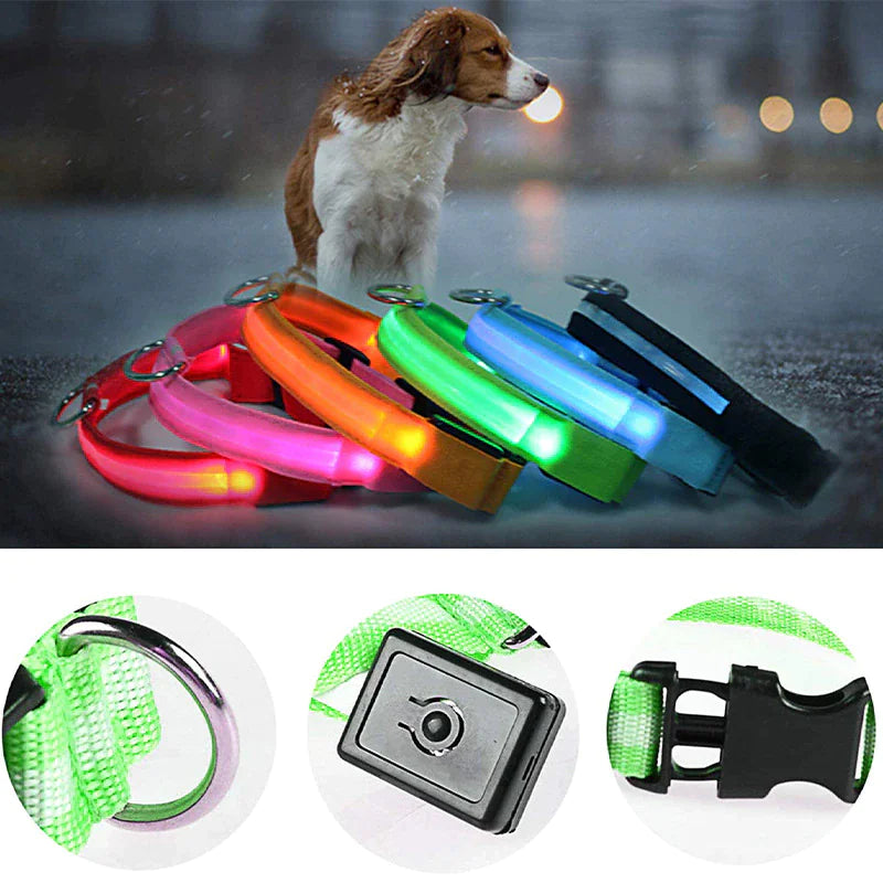 Collar LED ajustable para perros con luz intermitente que brilla intensamente, seguridad para mascotas, resistente al agua