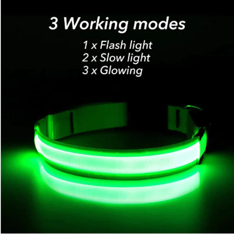 Collar LED ajustable para perros con luz intermitente que brilla intensamente, seguridad para mascotas, resistente al agua