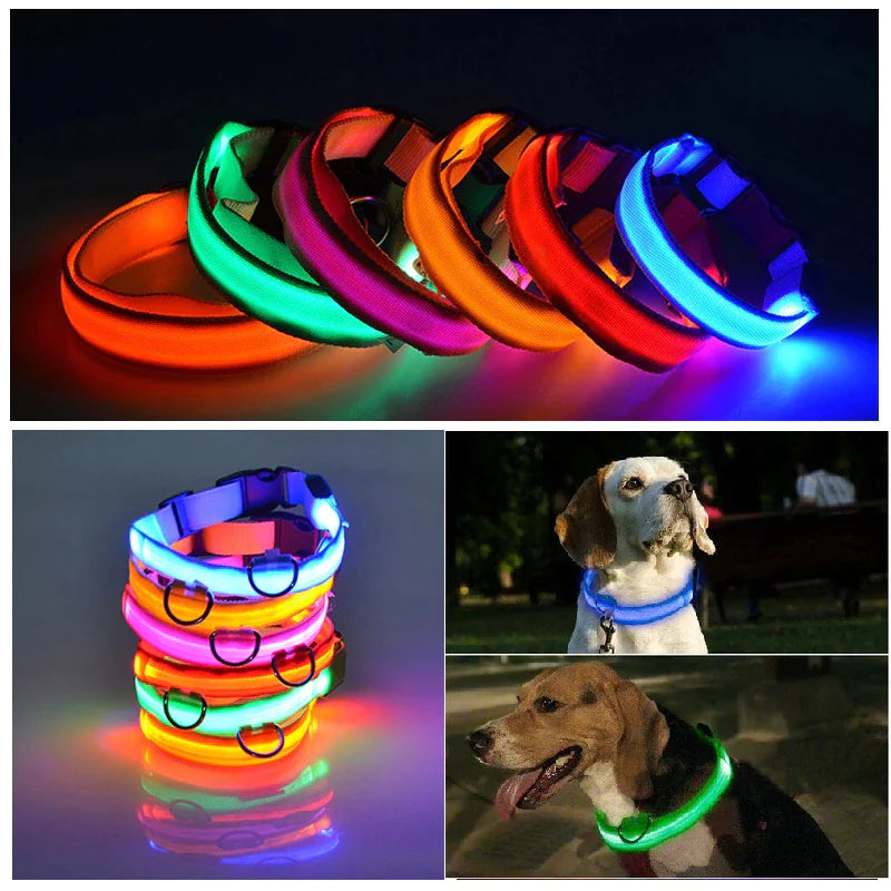 Collar LED ajustable para perros con luz intermitente que brilla intensamente, seguridad para mascotas, resistente al agua