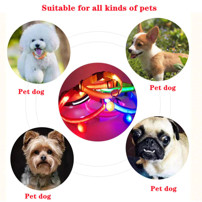 Collar LED ajustable para perros con luz intermitente que brilla intensamente, seguridad para mascotas, resistente al agua