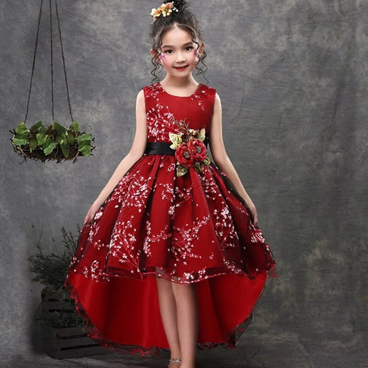 Girls Elegant Party Dress