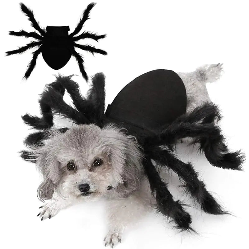 Disfraz de araña para Halloween para mascotas