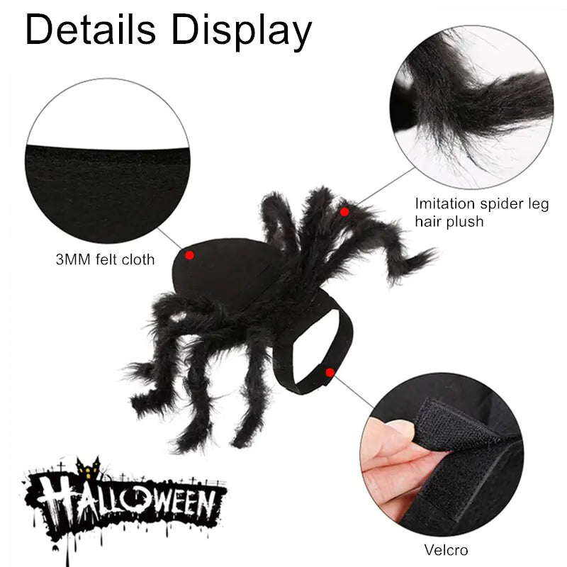 Disfraz de araña para Halloween para mascotas