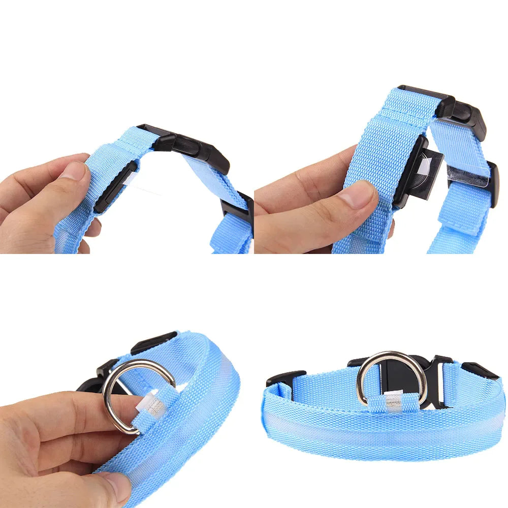 Collar LED ajustable para perros con luz intermitente que brilla intensamente, seguridad para mascotas, resistente al agua