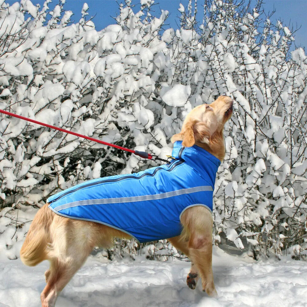 Ropa impermeable para perros grandes