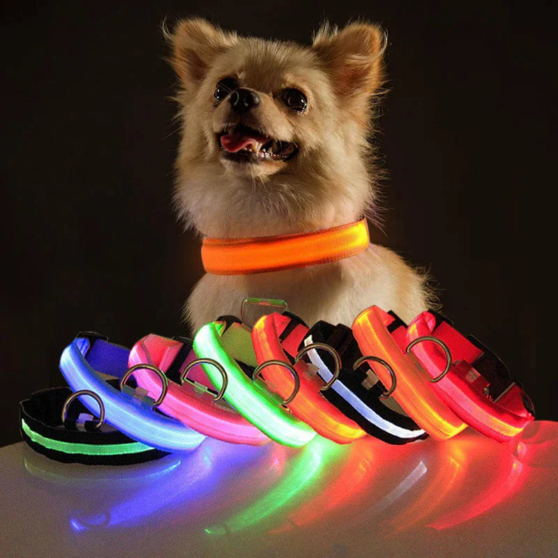 Collar LED ajustable para perros con luz intermitente que brilla intensamente, seguridad para mascotas, resistente al agua