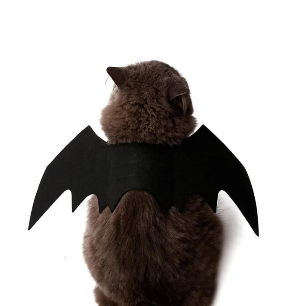 Ropa linda para mascotas de Halloween con murciélago negro