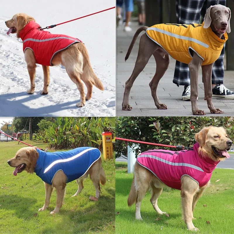 Ropa impermeable para perros grandes